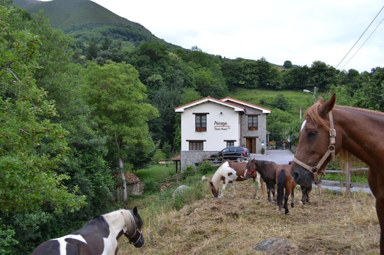Alesga Hotel Rural - Valles del Oso -Asturias, San Salvador ...