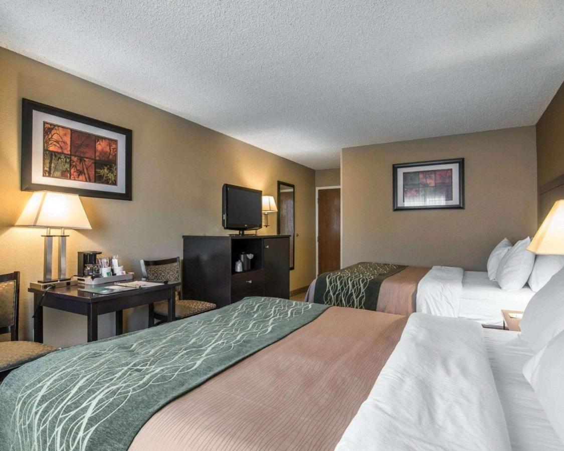 Bluestone Bed & Basecamp — photo 18