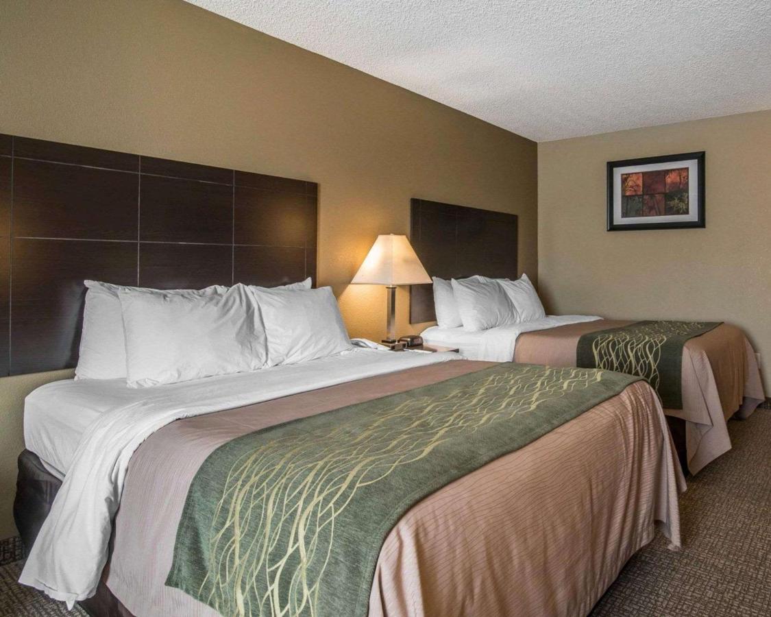 Bluestone Bed & Basecamp — photo 19
