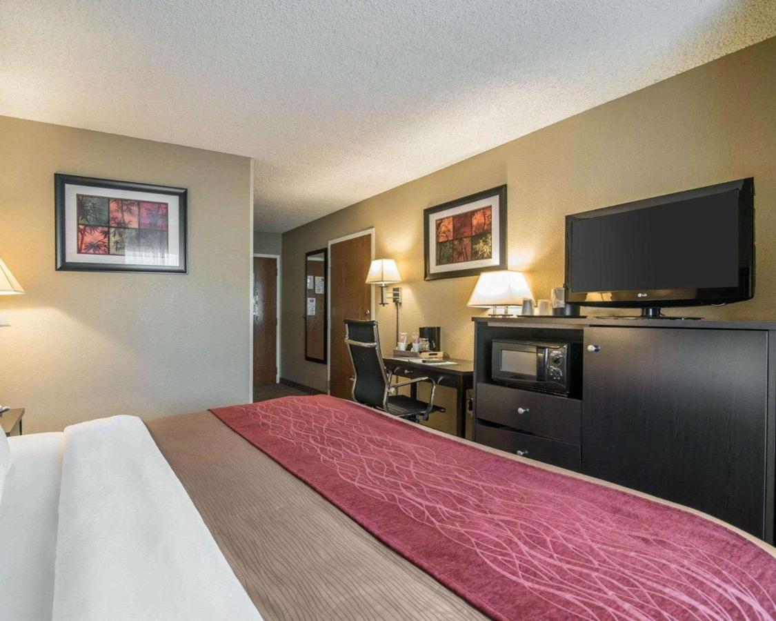 Bluestone Bed & Basecamp — photo 23