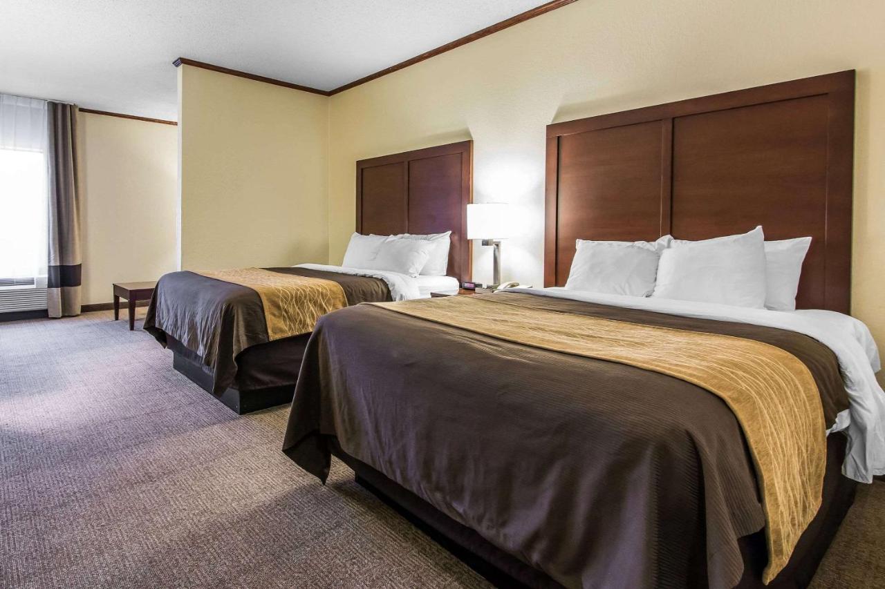 Guest Inn Ardmore — photo 17