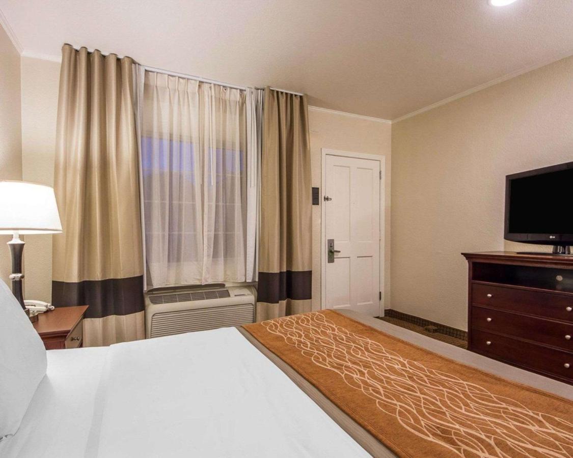 Blu Pacific Hotel — photo 19