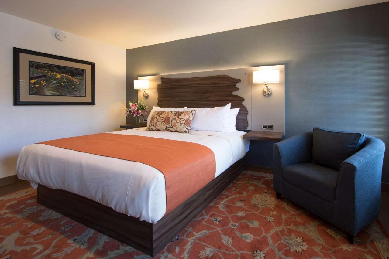 The Vine Inn Davis — photo 14