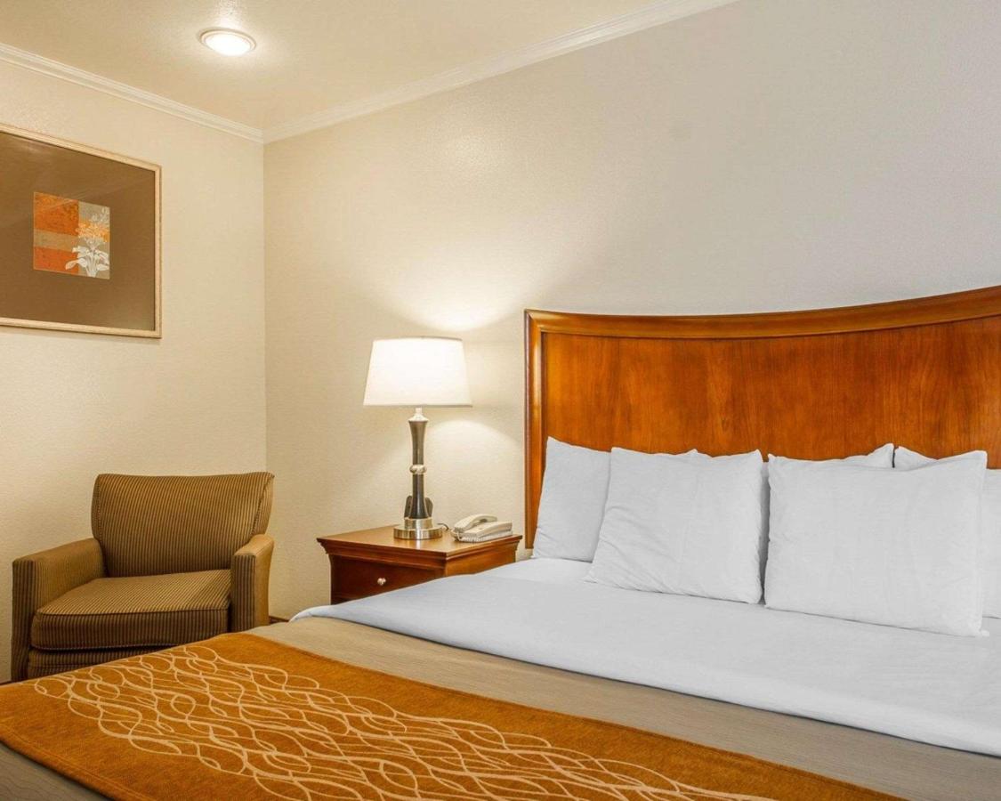Blu Pacific Hotel — photo 12