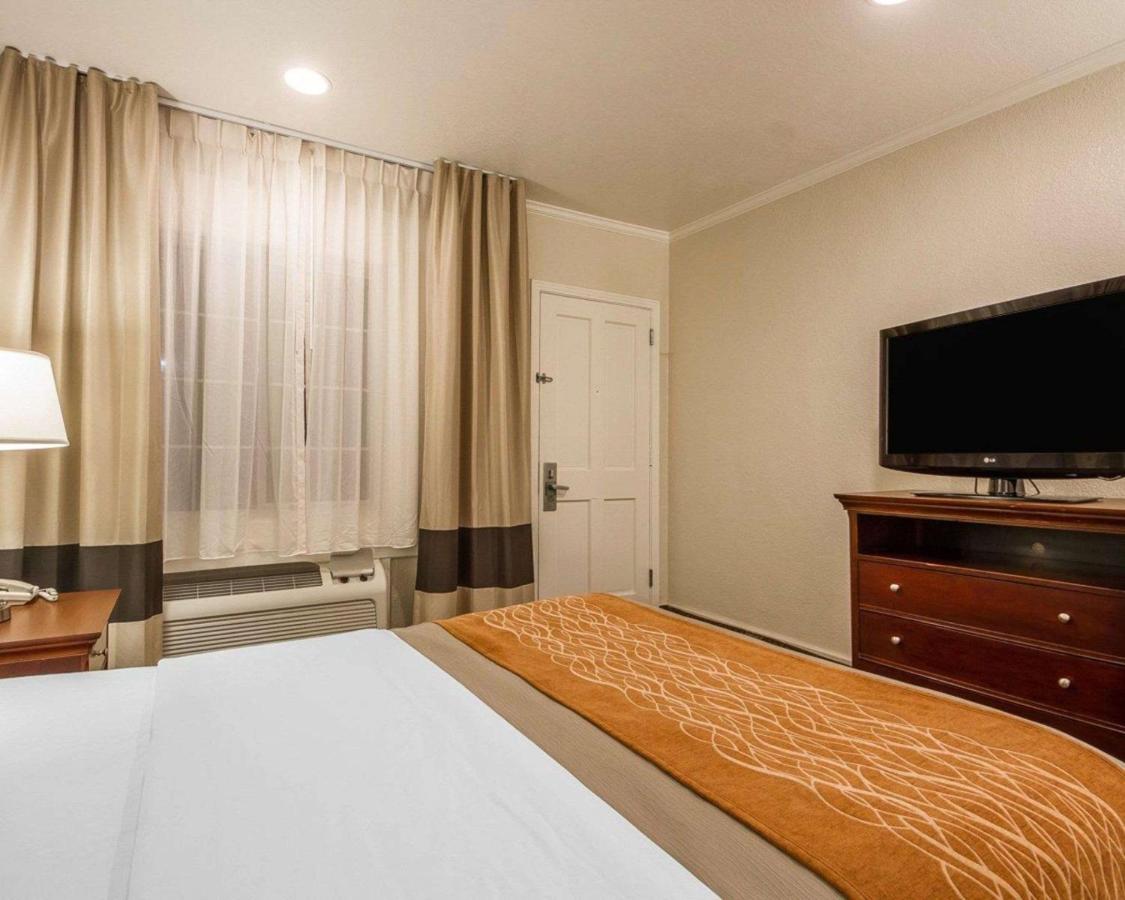 Blu Pacific Hotel — photo 10