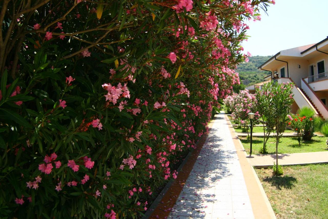 Borgo Marino Albatros photo
