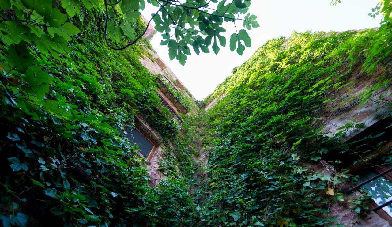 El Jardín Vertical, Vilafamés – Updated 2022 Prices