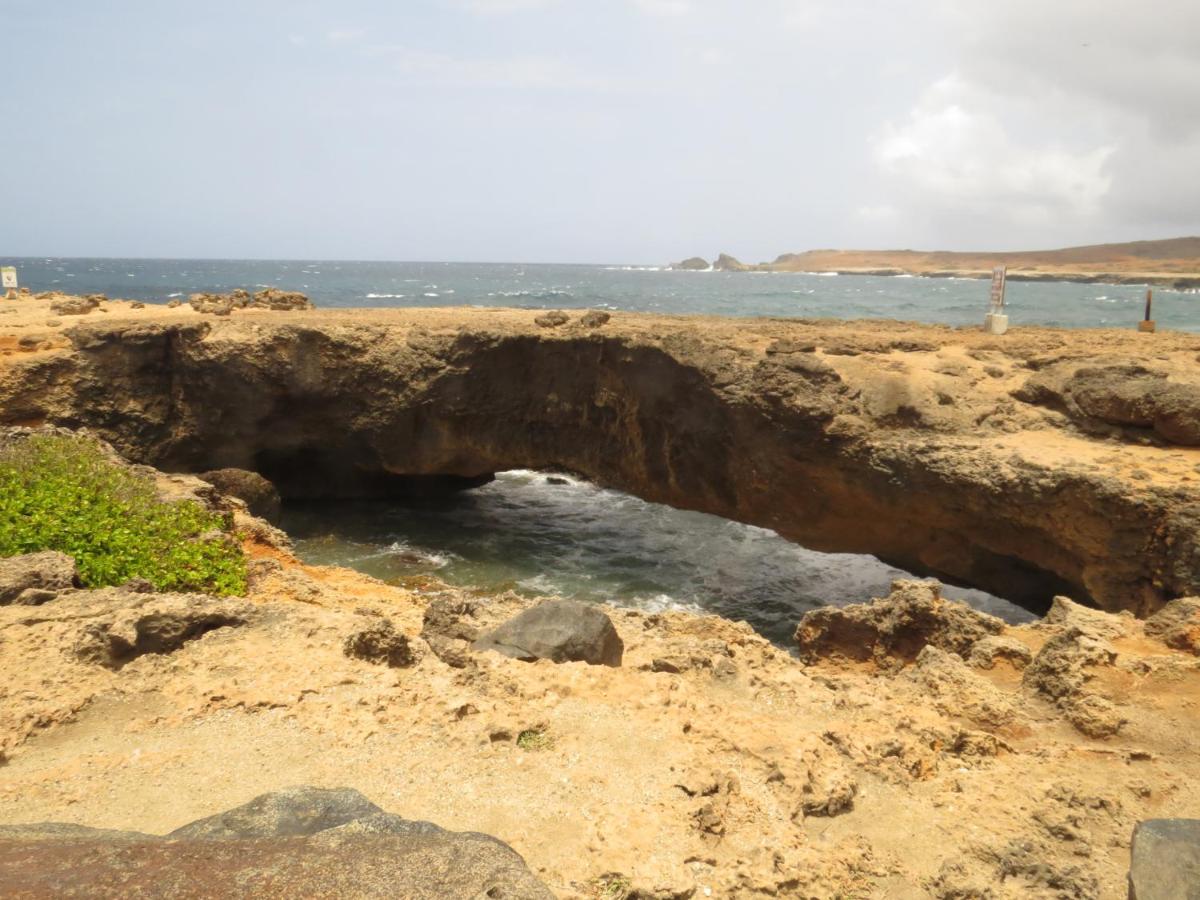 Karibu Aruba Boutique Hotel photo