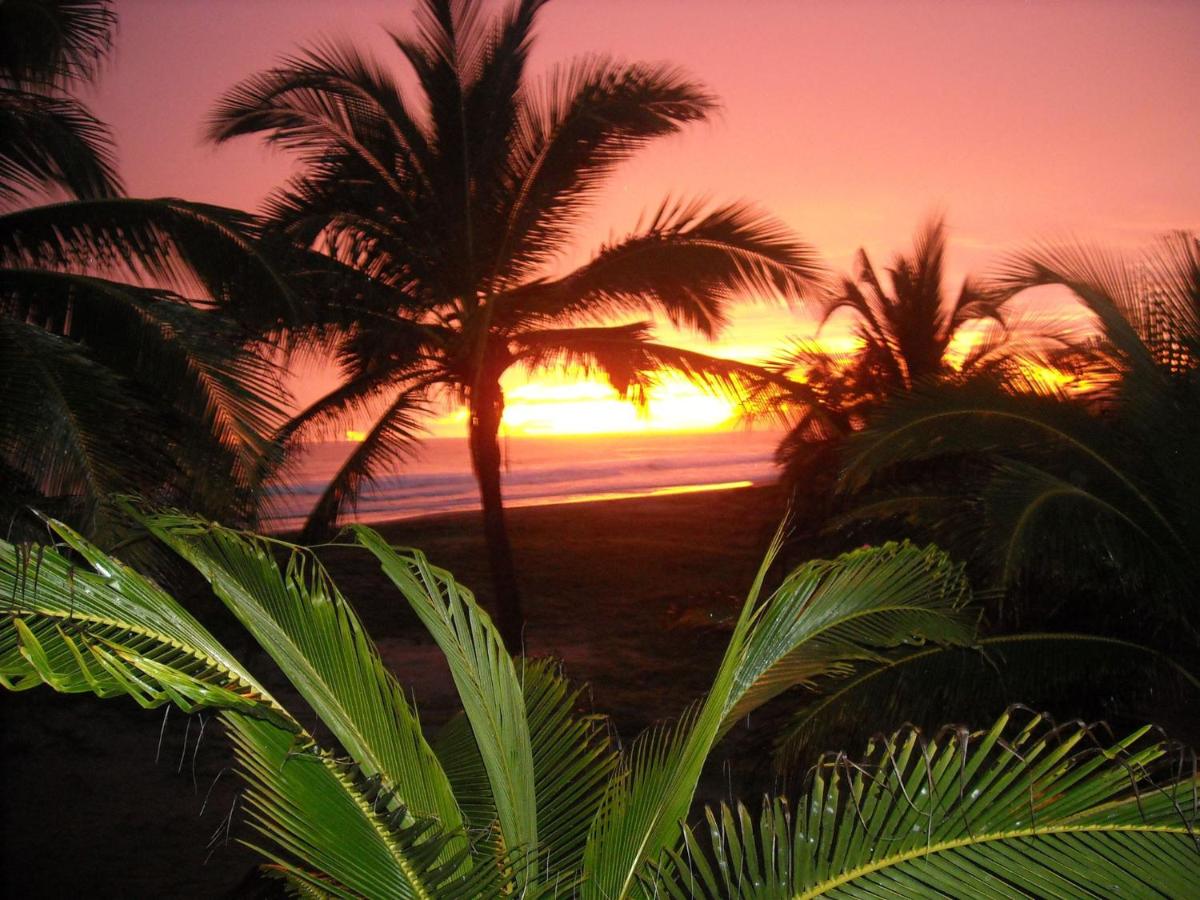 Bungalows Tree Tops - Adults Only photo