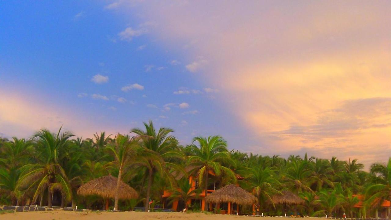Bungalows Tree Tops - Adults Only photo