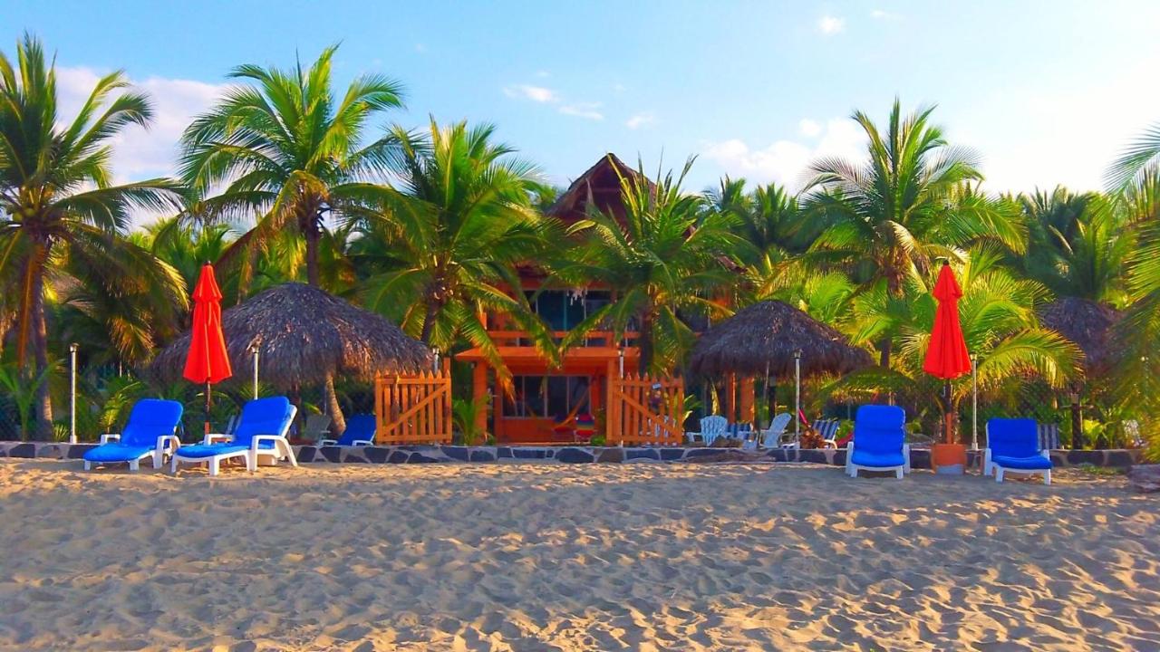 Bungalows Tree Tops - Adults Only photo