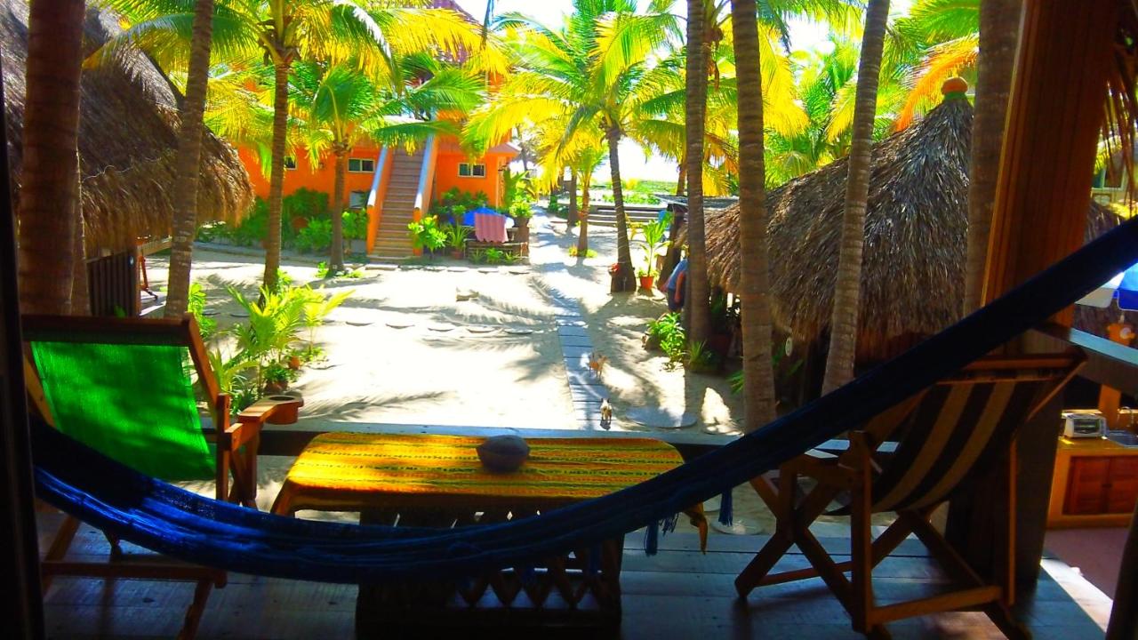Bungalows Tree Tops - Adults Only photo