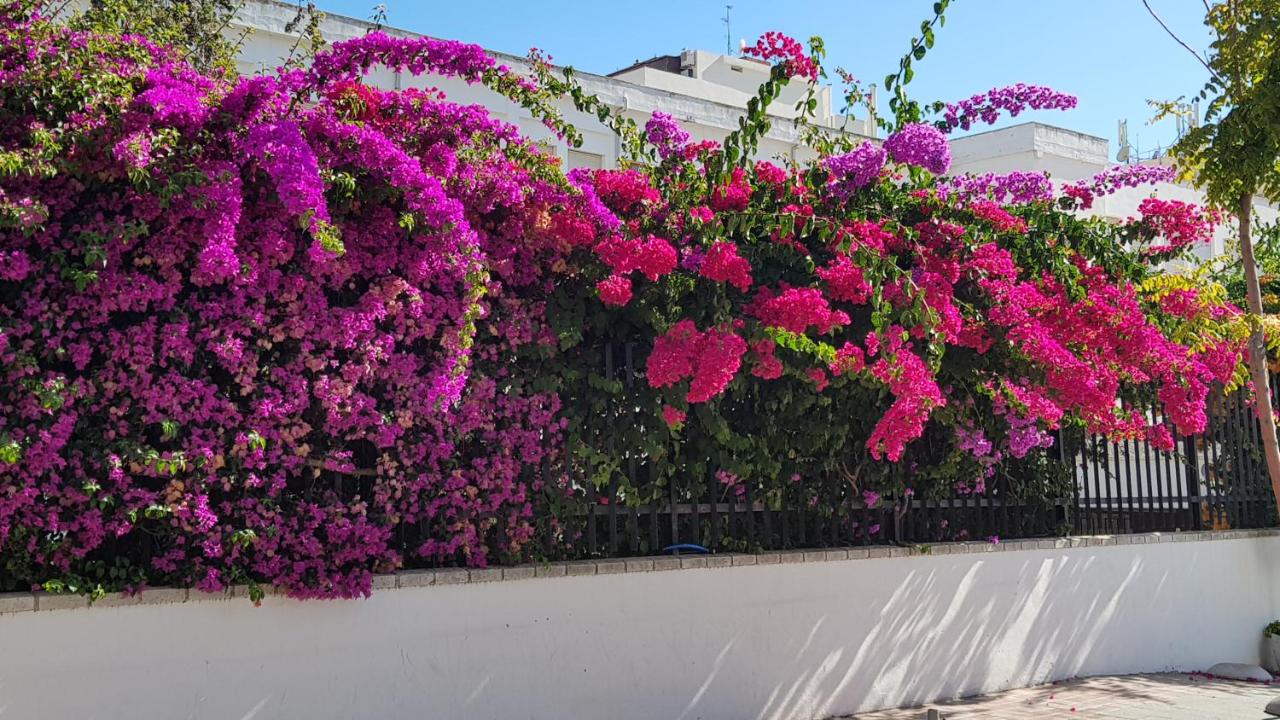 Apartment Jardines de Lunamar, Marbella, Spain - Booking.com