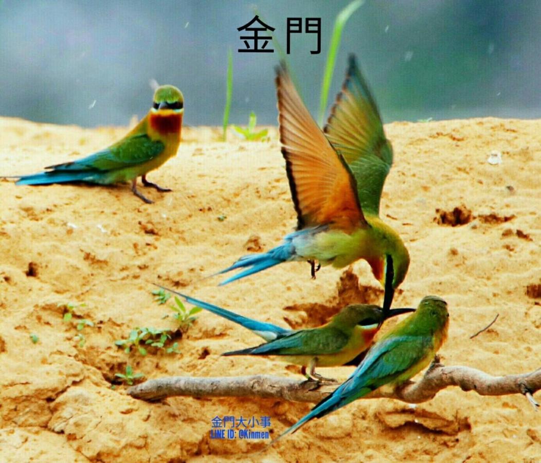 Starry Sky Inn Jinhu Updated 2021 Prices