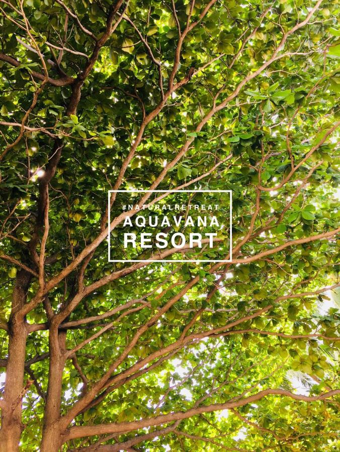 Image: Aquavana Haad Rin Resort