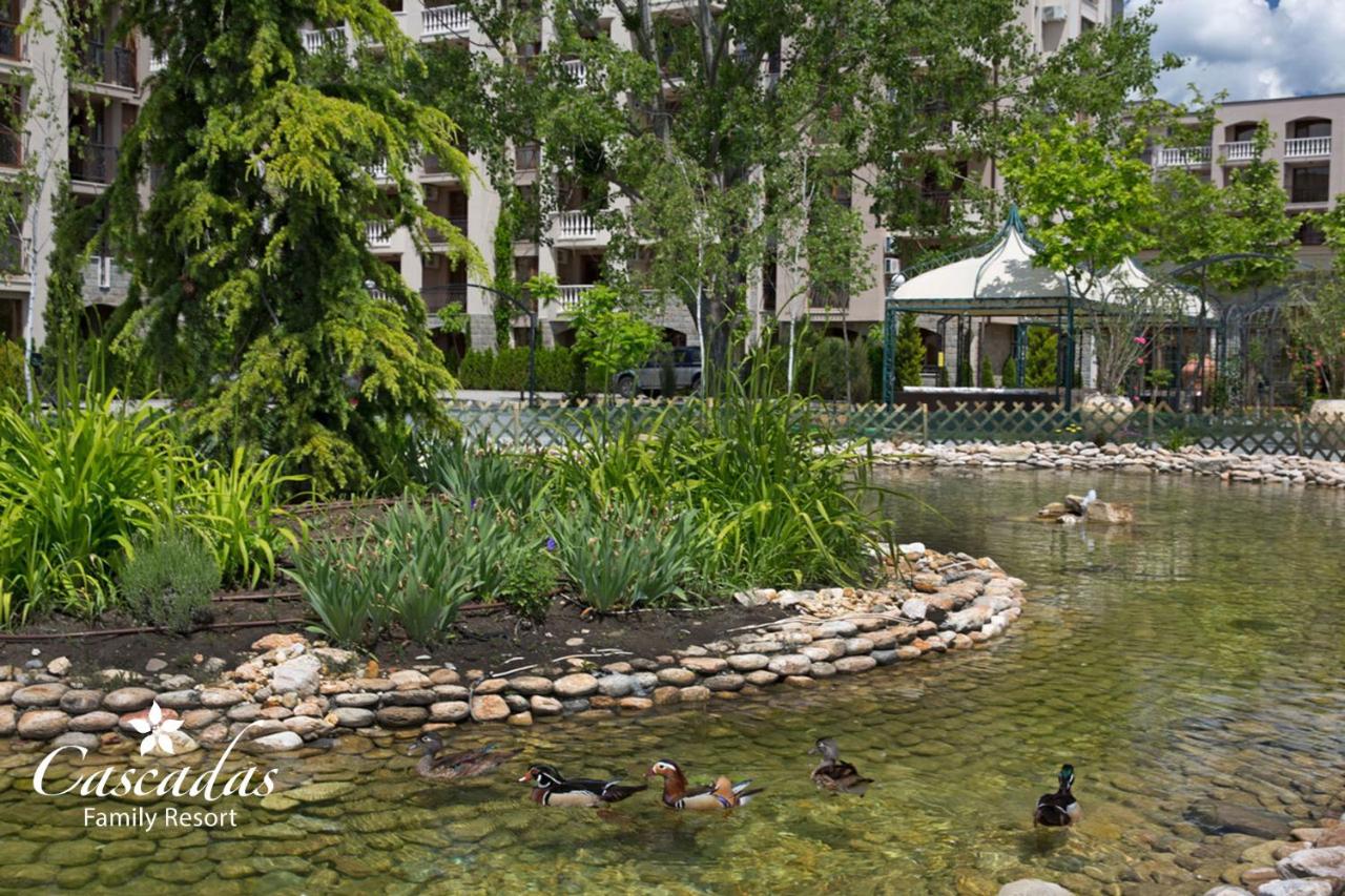 Cascadas Family Resort photo