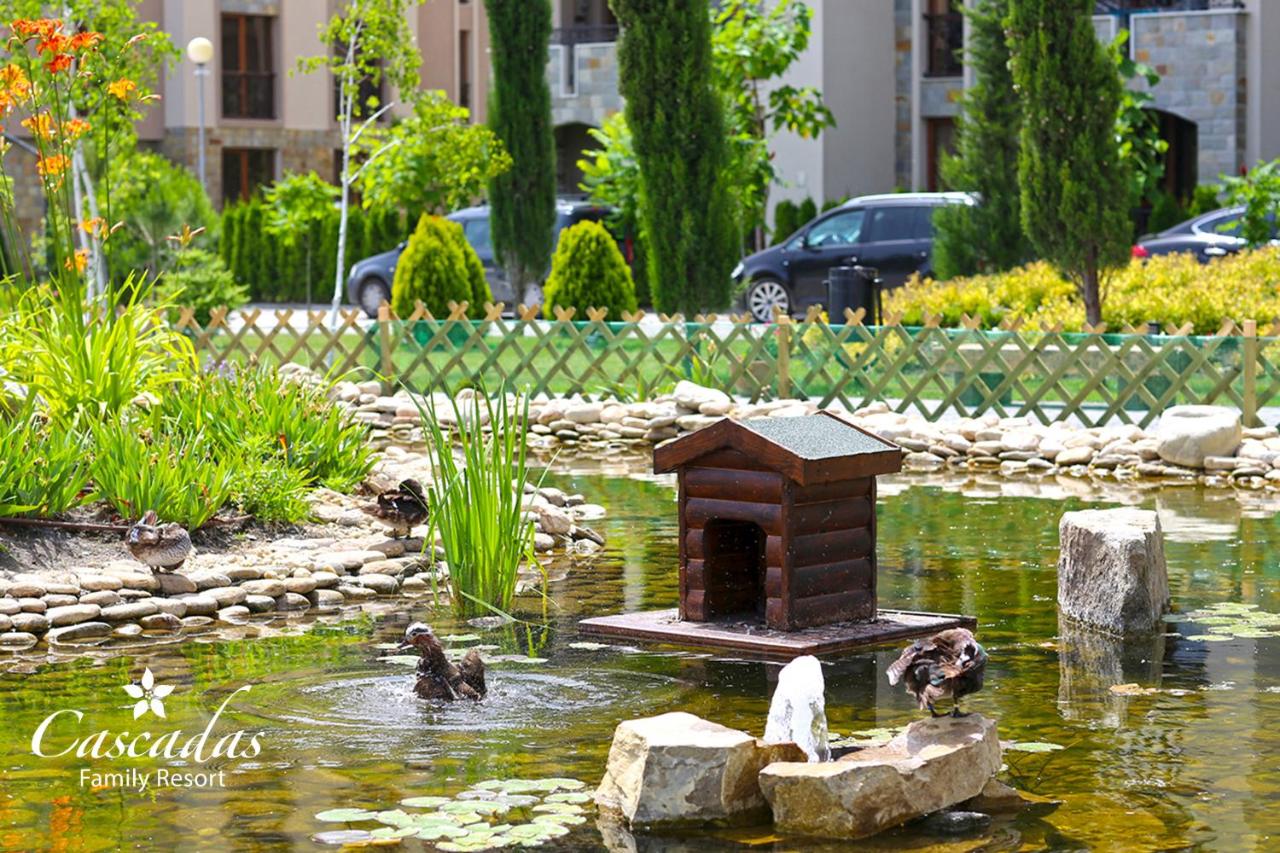 Cascadas Family Resort photo