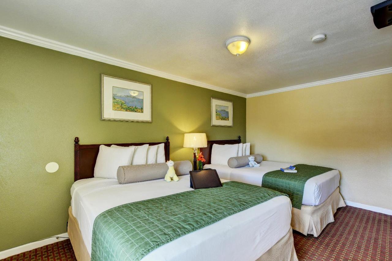 Traveler's Inn Williams, CA Modern Renovated Hotel — photo 16