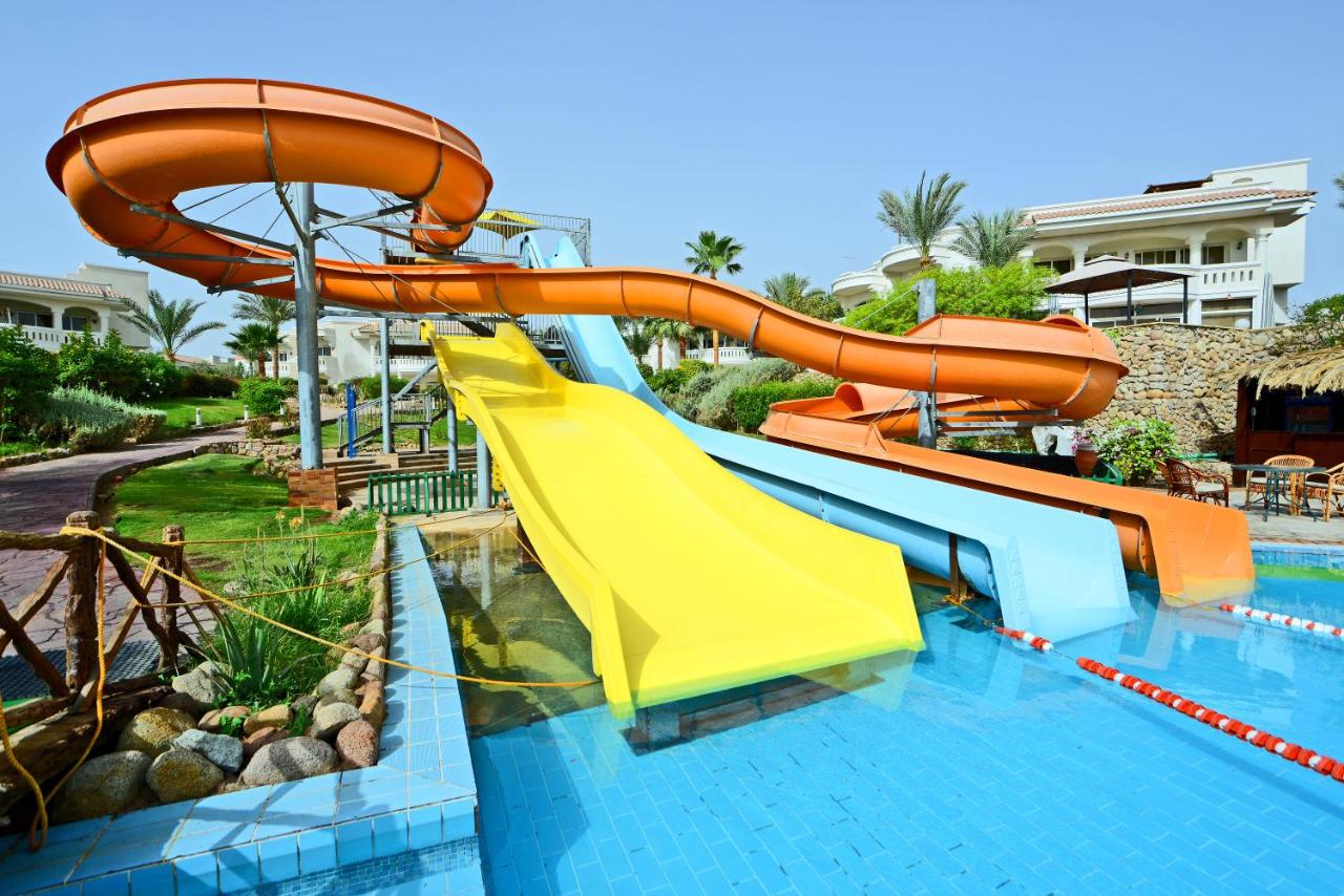 Heated swimming pool: Naama Bay Hotel & Resort