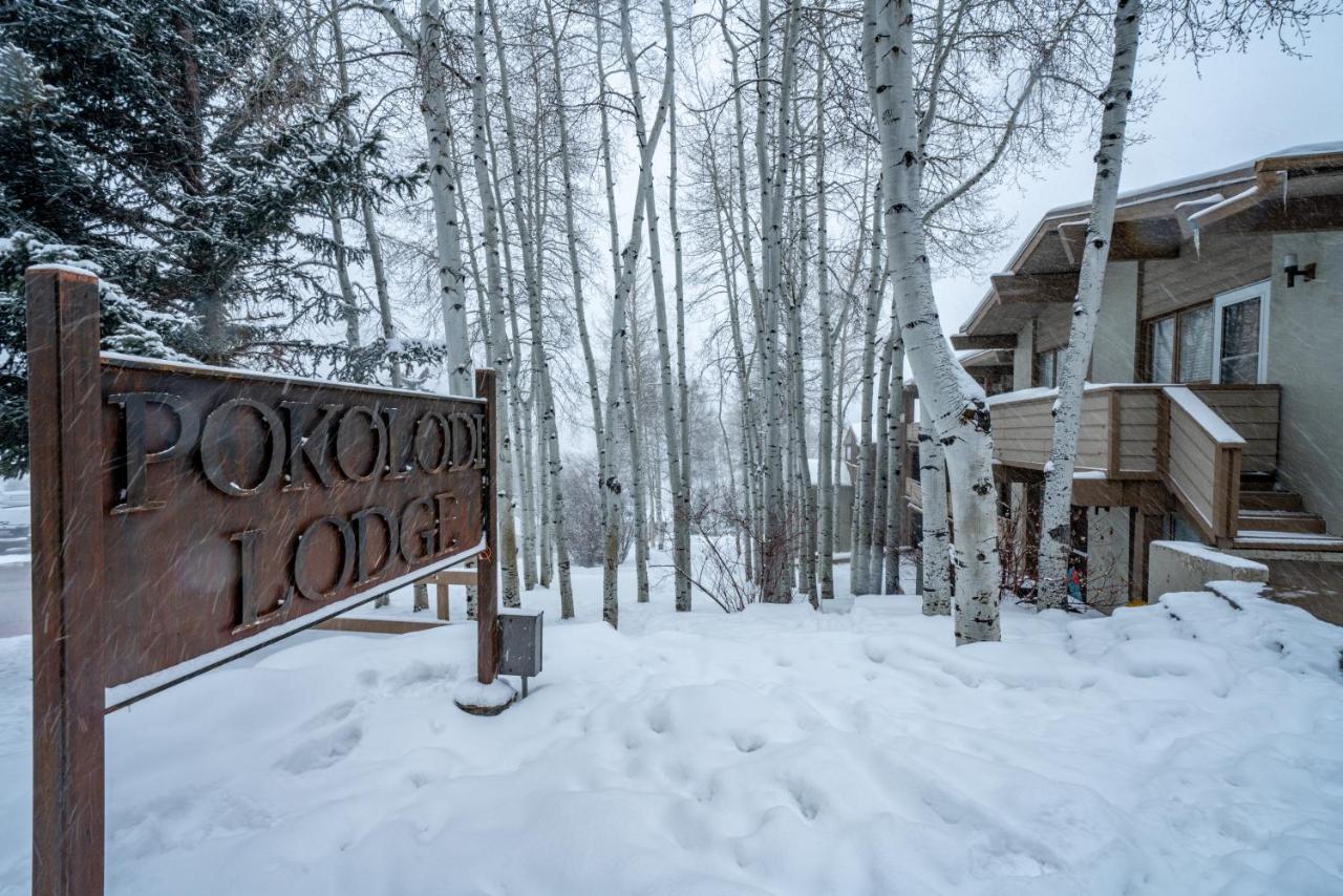 Pokolodi Lodge — photo 9