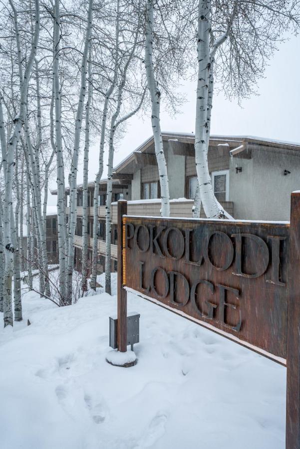 Pokolodi Lodge — photo 10