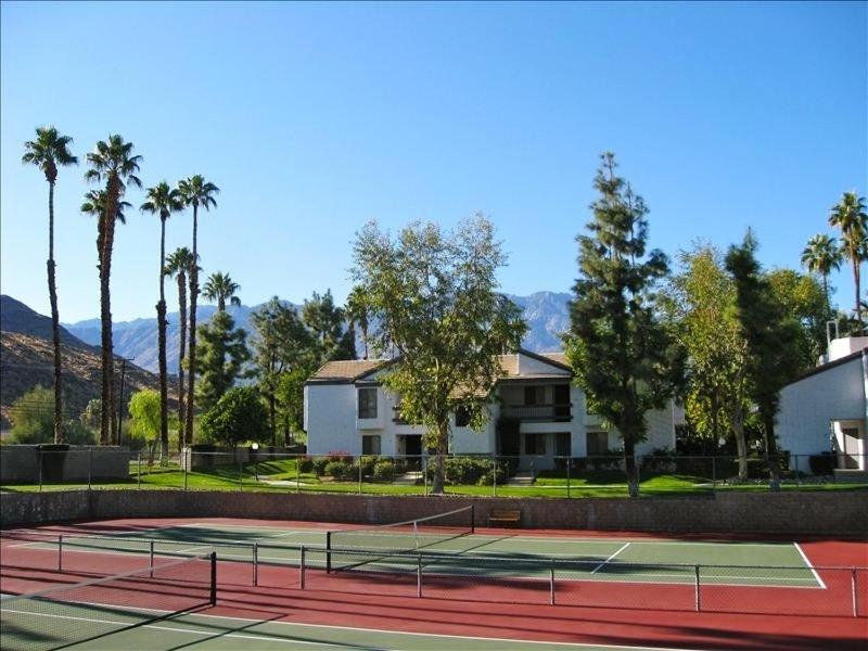 Tennis court: Palm Canyon Villas