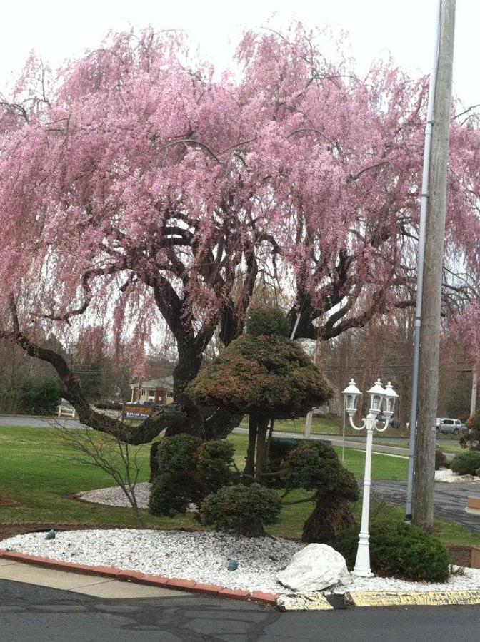 Welcome Inn — photo 12