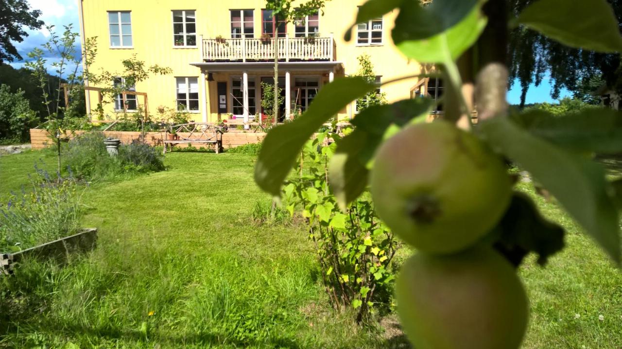 frödinge dating
