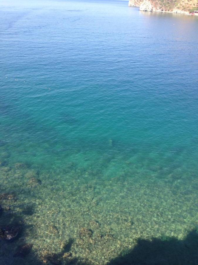 Beach: Hotel Large Beach