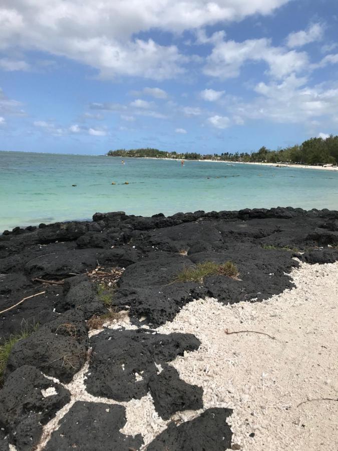 Sun Tropical Paradise - 5