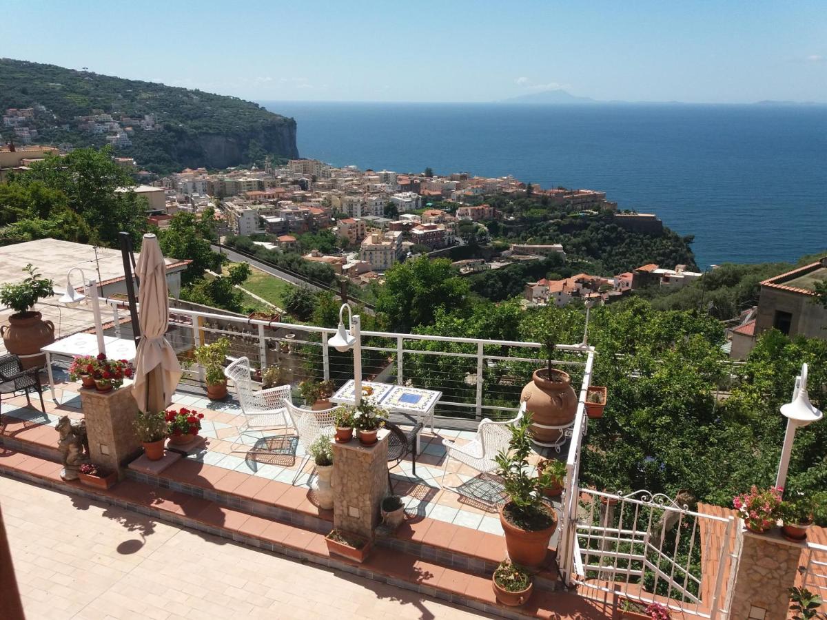 Garden on the Sea photo