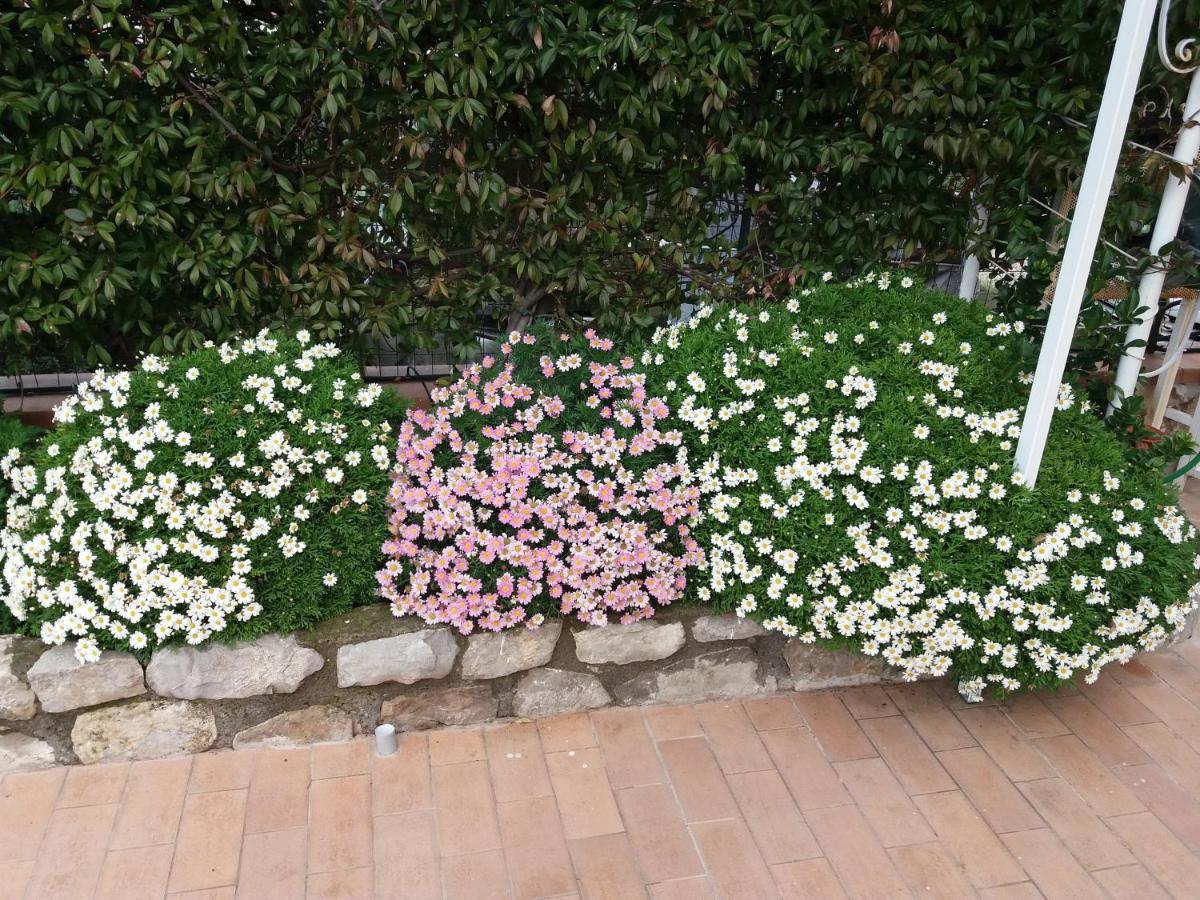 Garden on the Sea photo