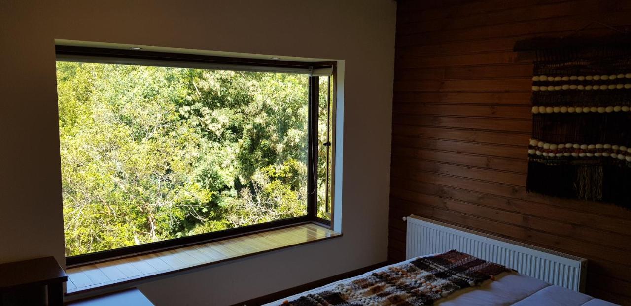 Bambu Lodge photo