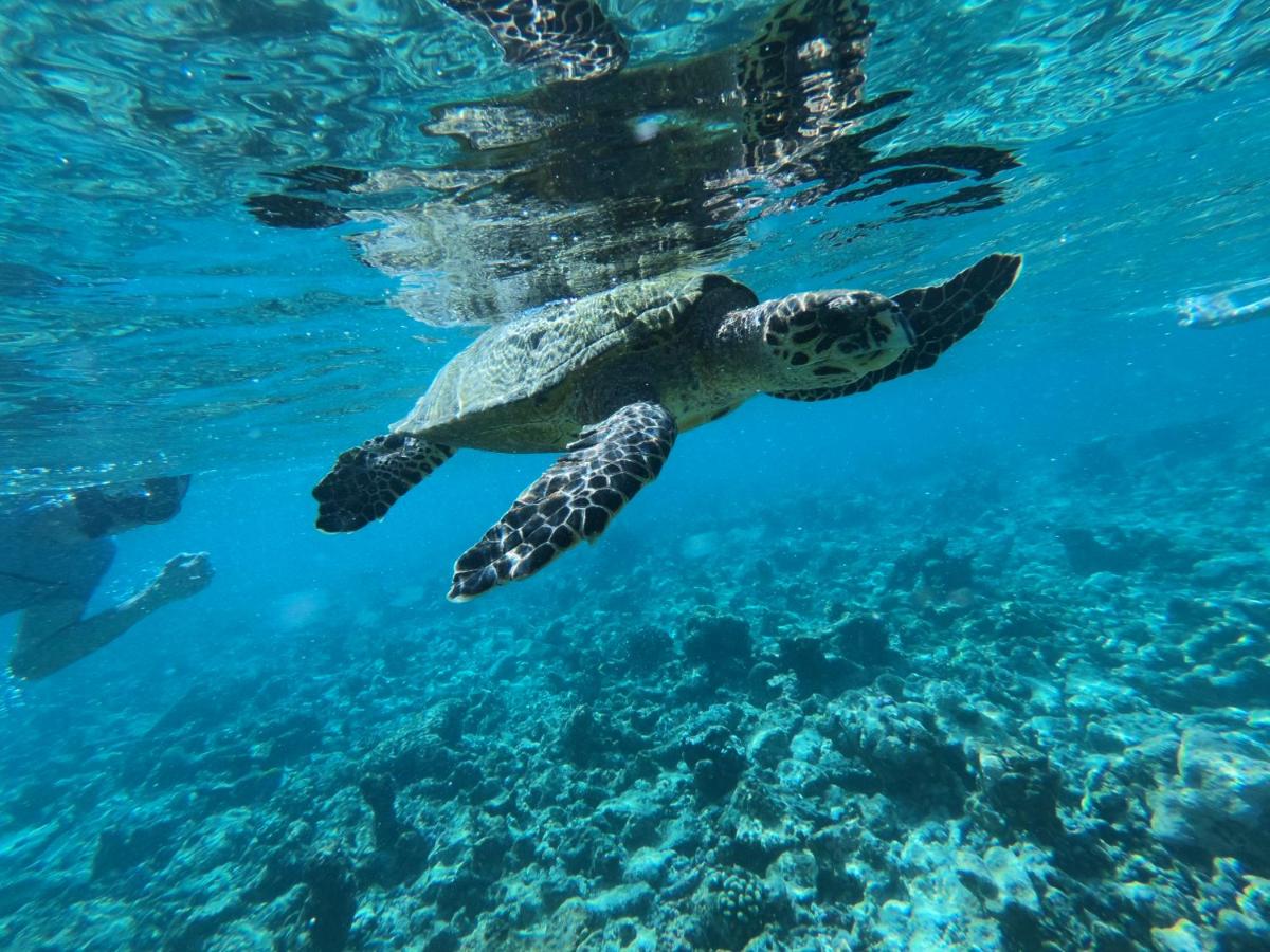 The Sunrise Huraa - 5