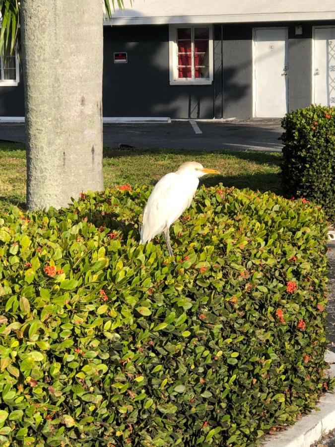 Bay Breeze Inn — photo 13