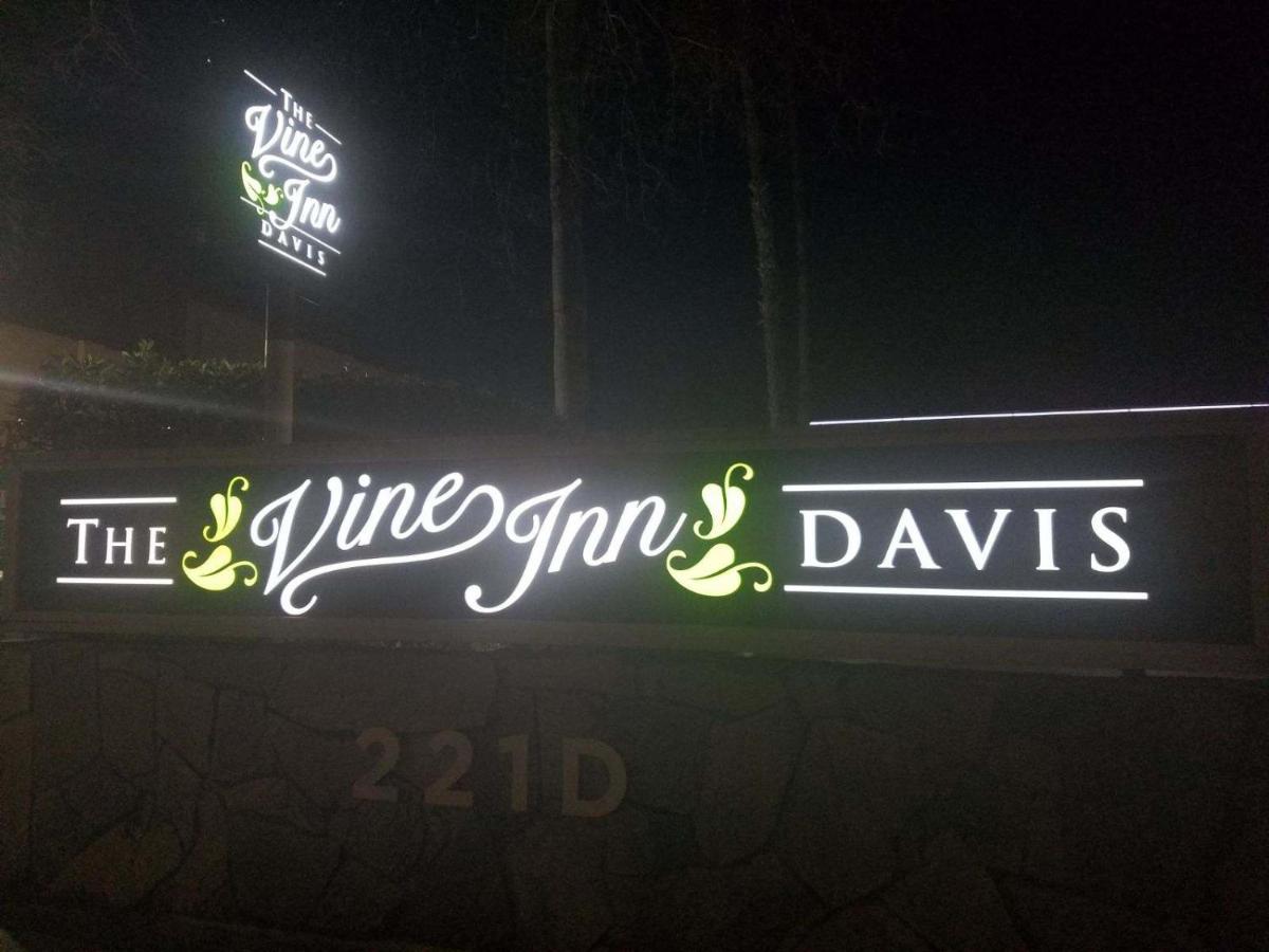 The Vine Inn Davis — photo 12