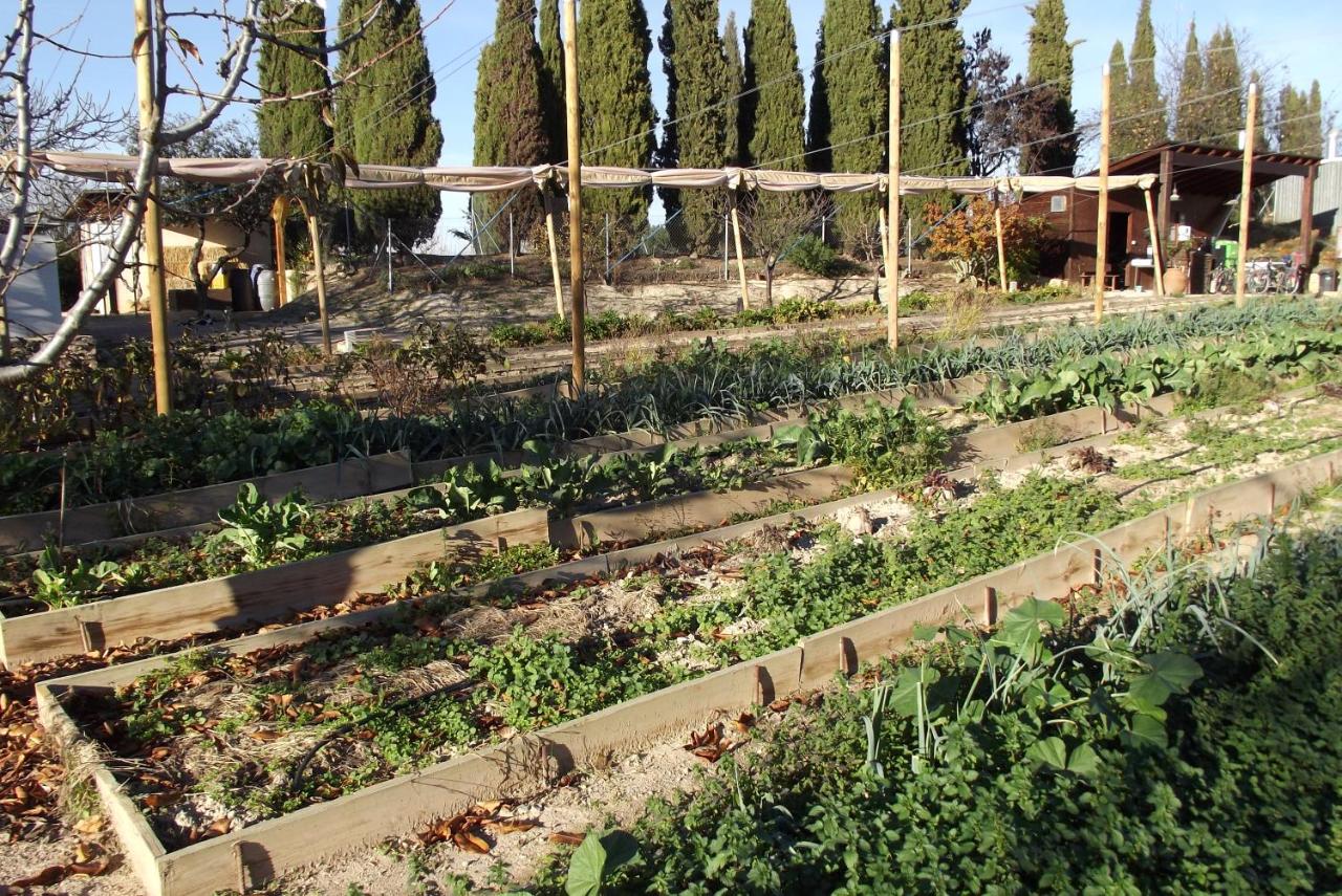 Centro de Agroecologia y Medio Ambiente de Murcia, Bullas ...