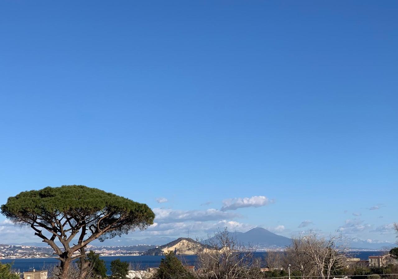 B&B Mediterraneo photo