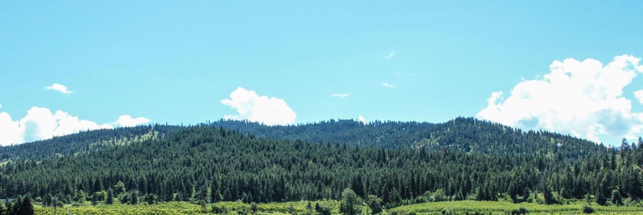 Wedge Mountain Inn — photo 20