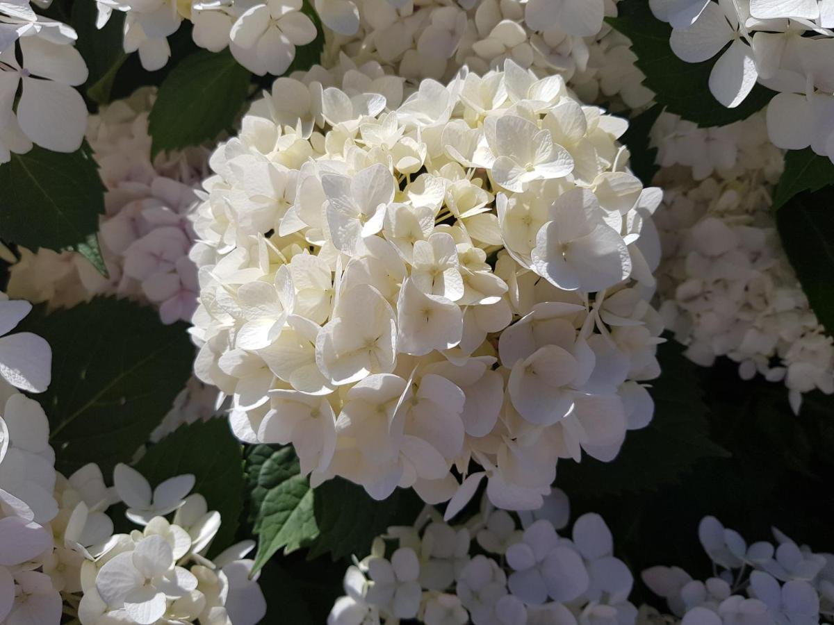 Liz On Lowry ヘイスティングズ 21年 最新料金