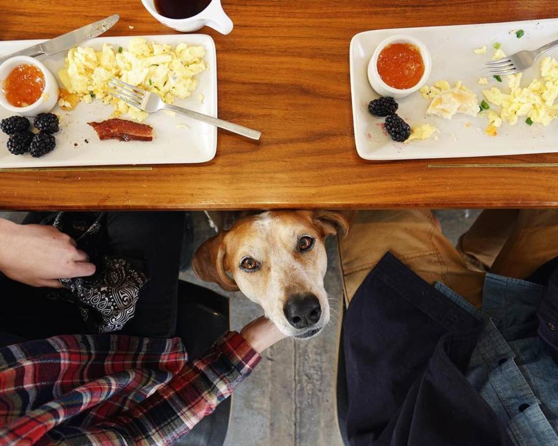 Abode Nashville - Marathon Village Near Downtown - 2