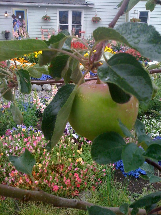 Historic Skagway Inn — photo 7