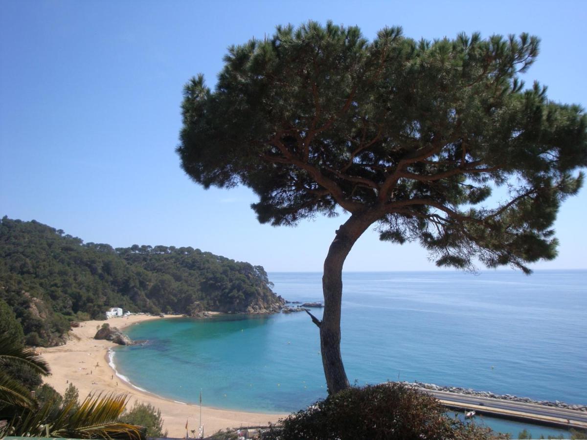 Condessa, Lloret de Mar – Bijgewerkte prijzen 2022