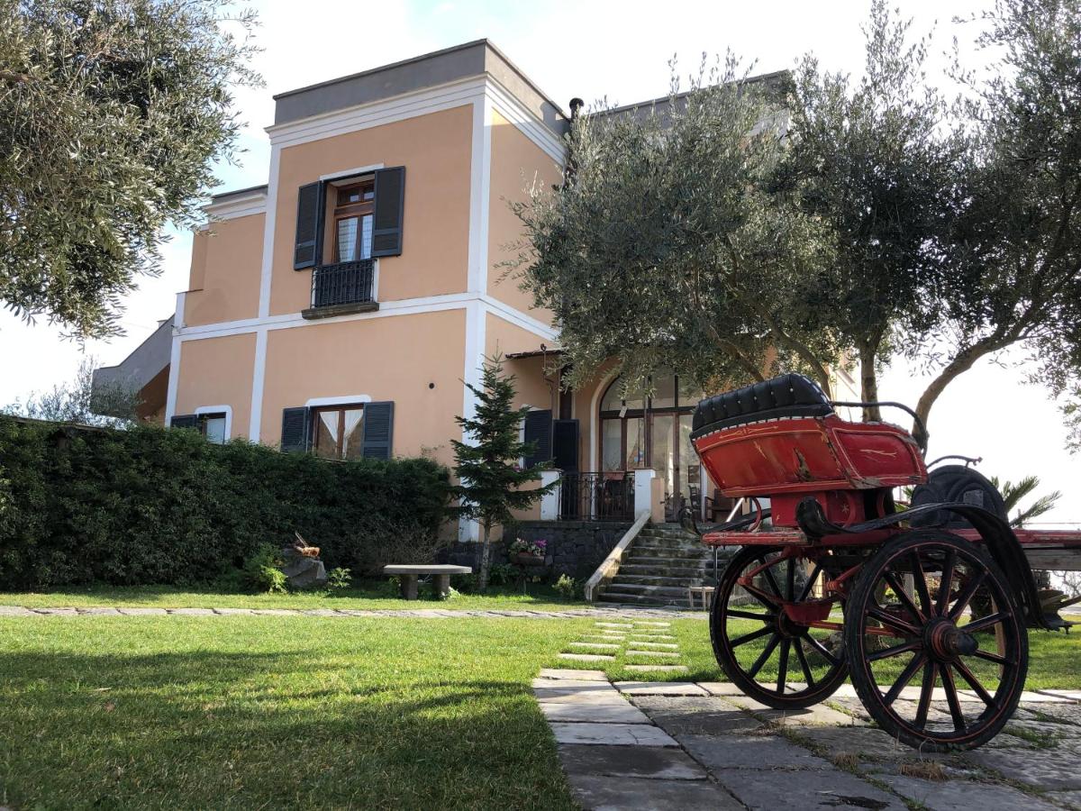 Domus Agricolae Corallina photo