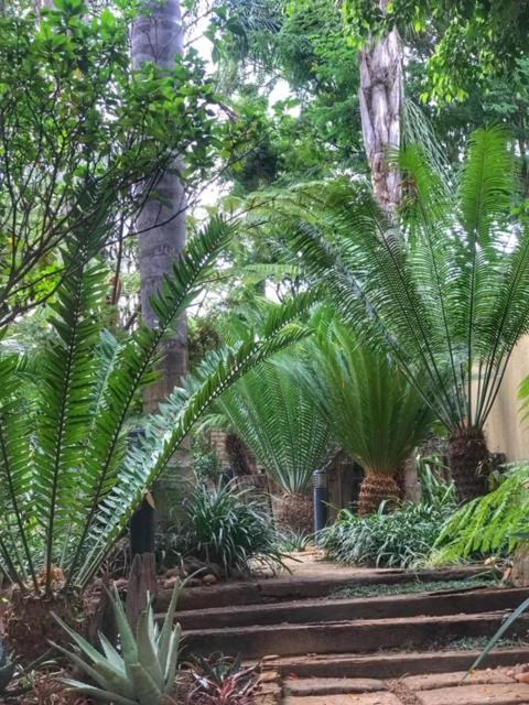 Lily Rose Bed And Breakfast — photo 24