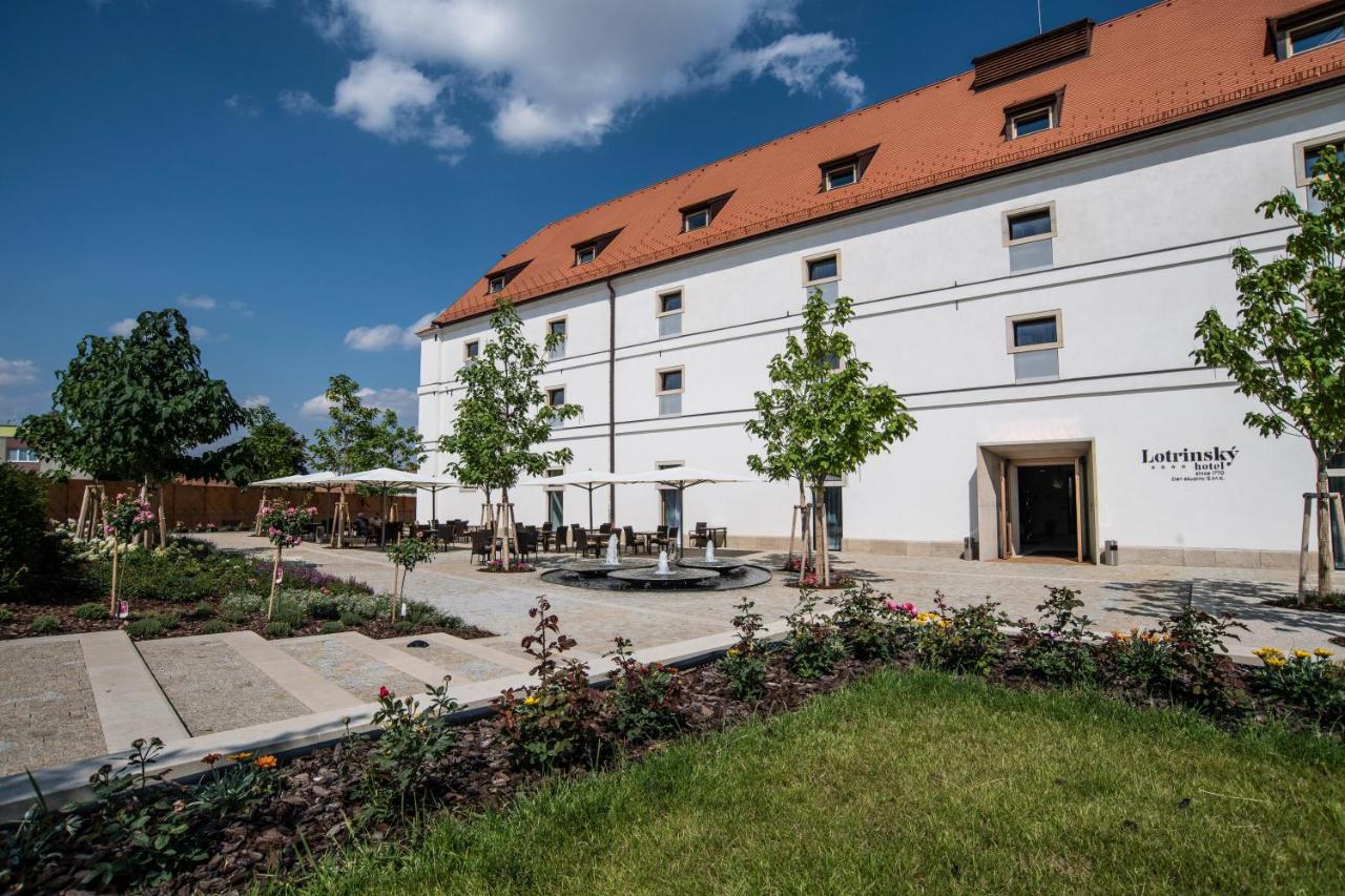 Lotrinský hotel, Velké Pavlovice