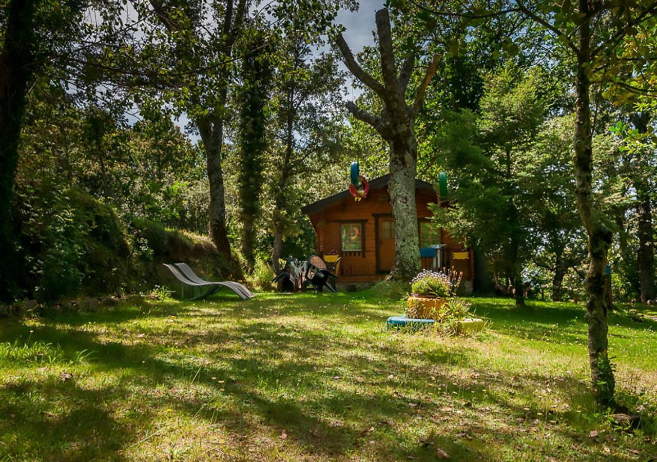 Cabañas de Madera Sanabria, Vigo de Sanabria – Precios ...