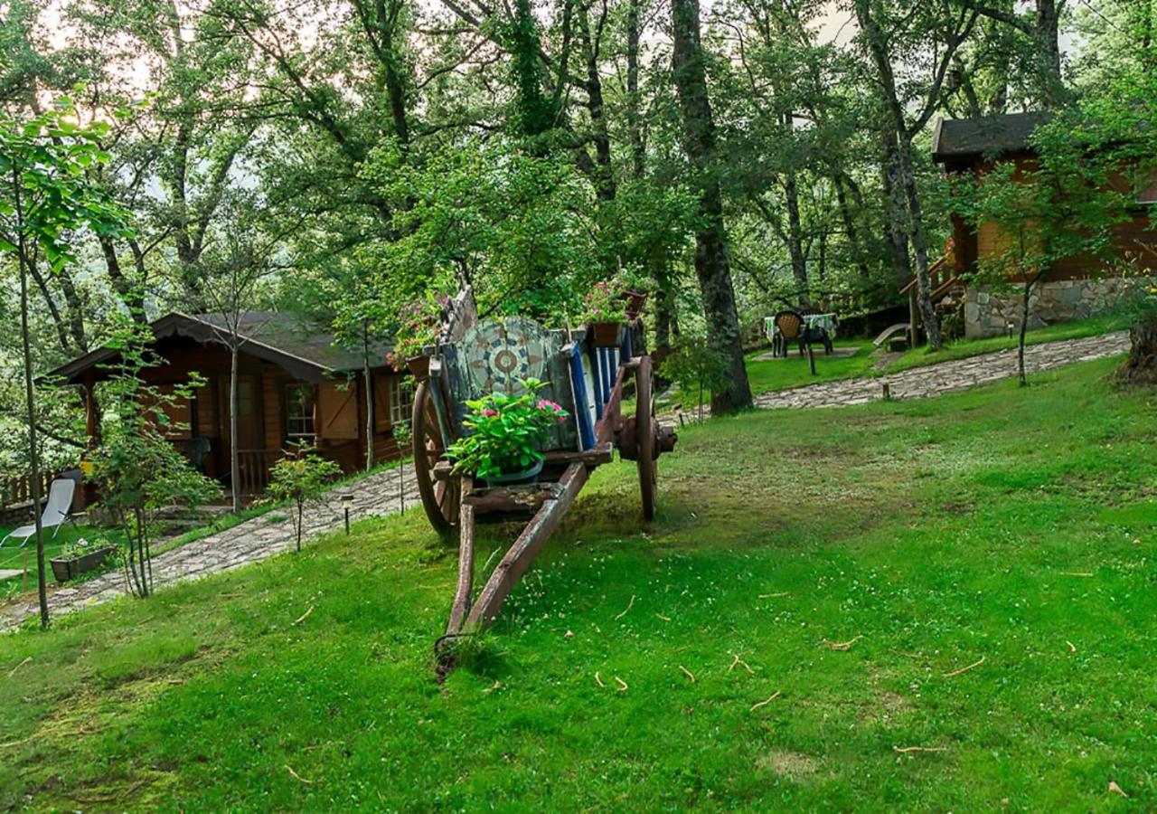 Cabañas de Madera Sanabria, Vigo de Sanabria – Precios ...