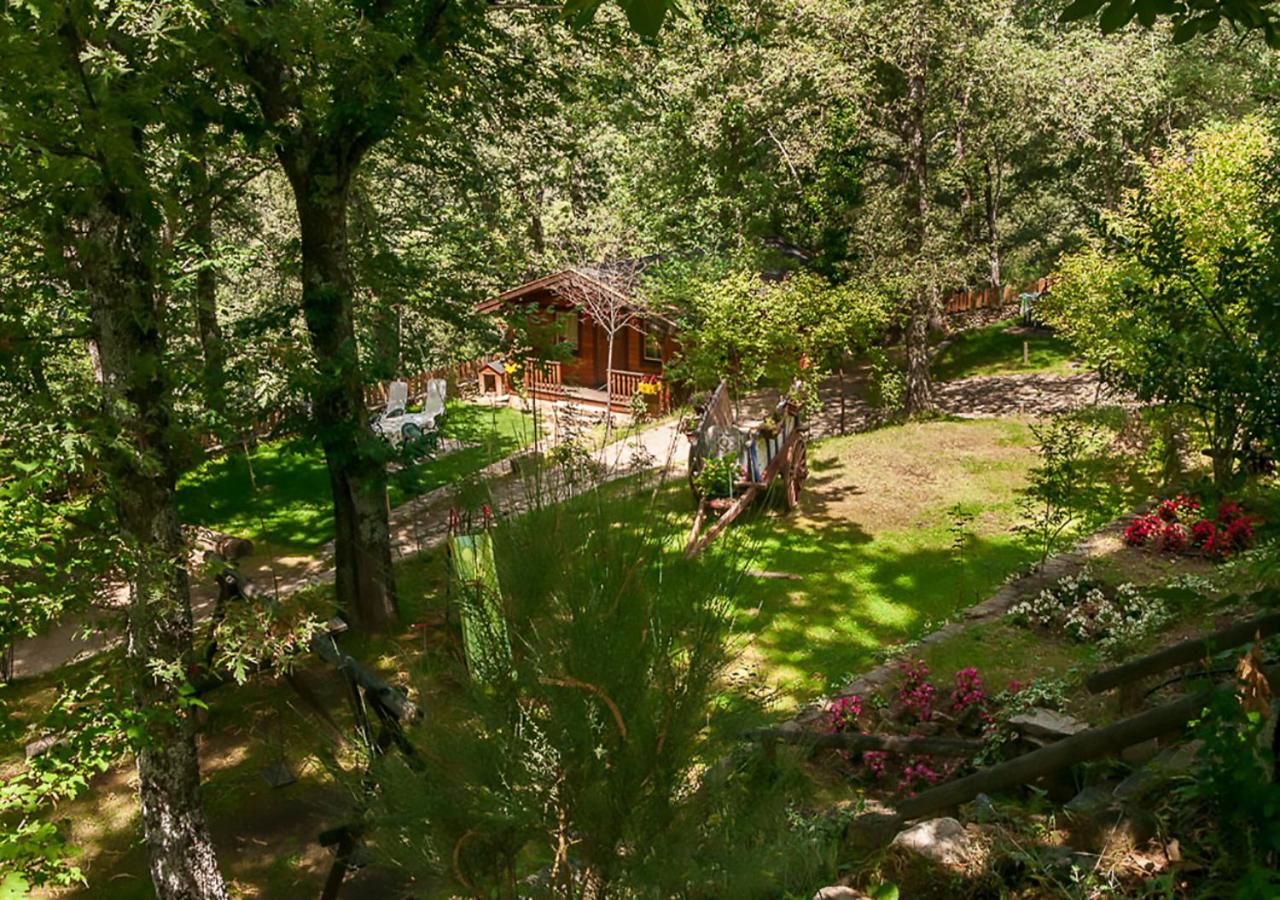 Cabañas de Madera Sanabria, Vigo de Sanabria – Precios ...