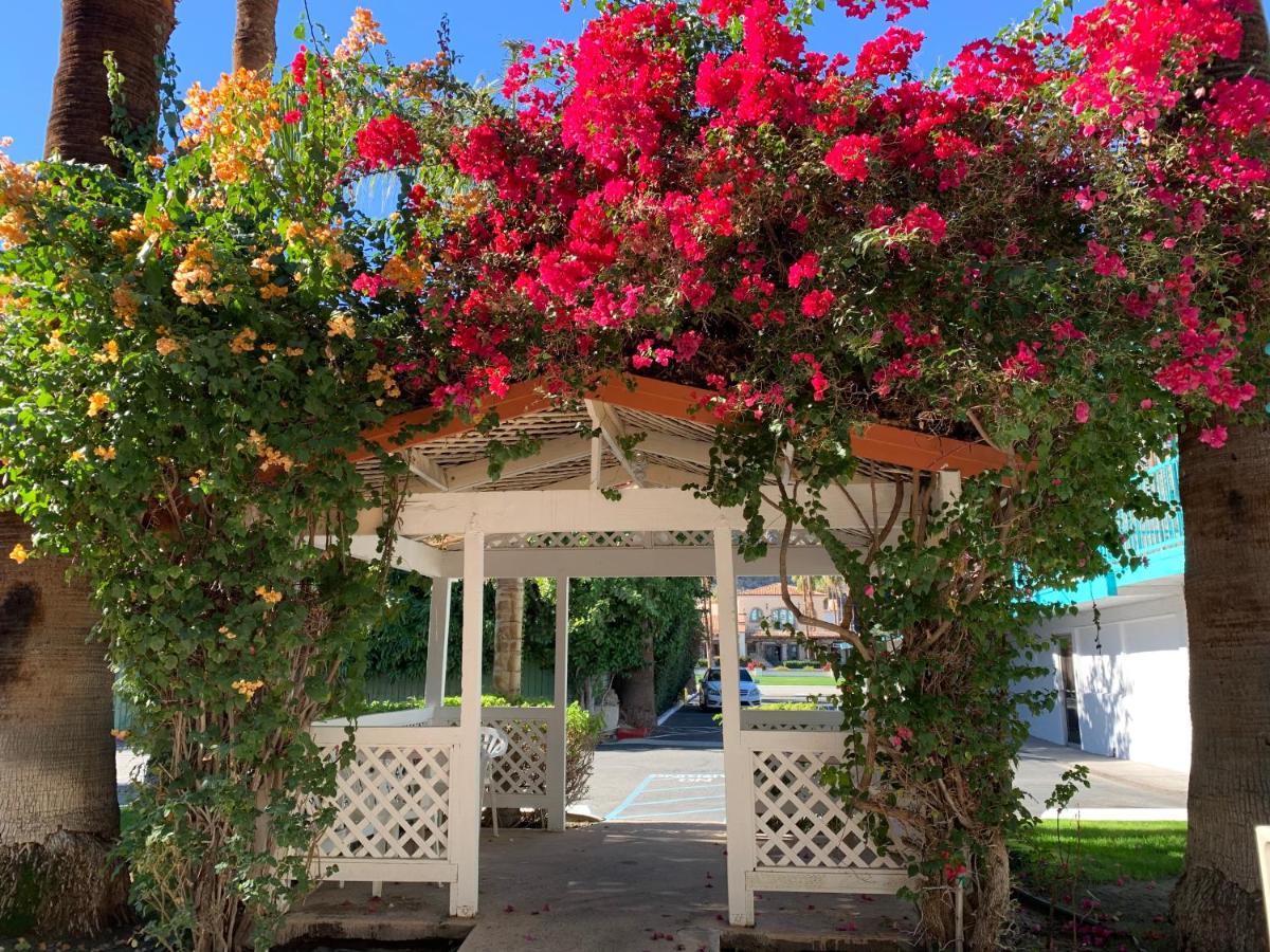 The Adriatic Resort — photo 15